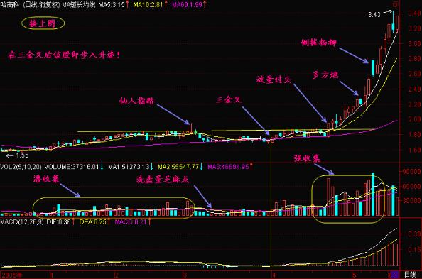 一阳穿五线选股_MACD指标详解_金叉死叉用法