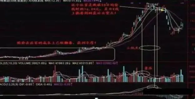 周线选股技巧_月盈利20%的炒股方法_长线投资策略