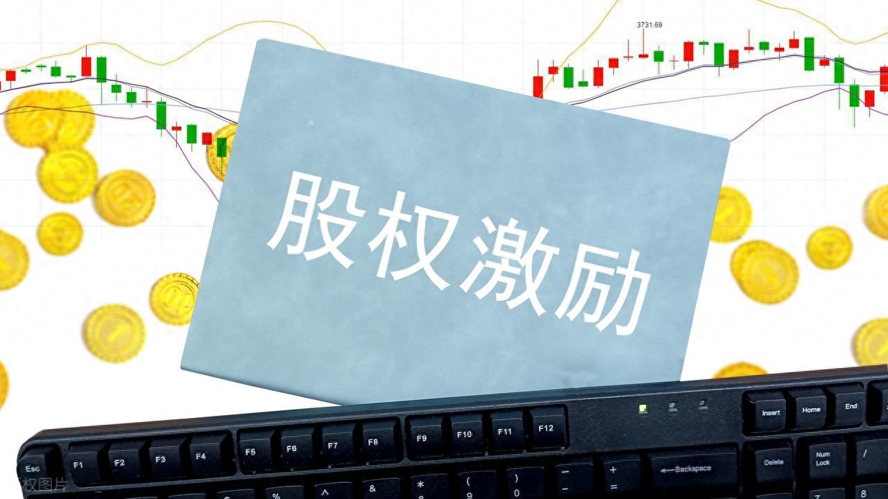 限制性股票与期权对比_股权激励方案设计_何为原始股