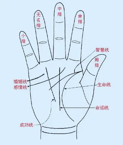 掌纹有一条横线_掌纹三条线连在一起_掌纹线哪里起点