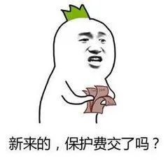 B股H股N股S股GDR_股票前面加个xd是什么意思_A股字母简称