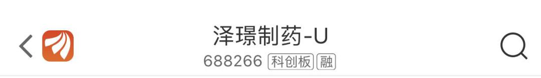 A股字母简称_B股H股N股S股GDR_股票前面加个xd是什么意思