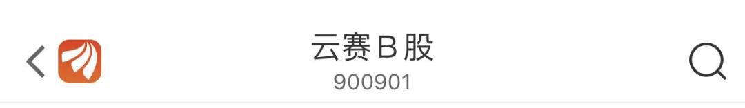 股票前面加个xd是什么意思_B股H股N股S股GDR_A股字母简称