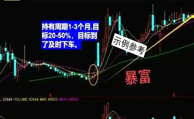 主力资金流向_月盈利20%的炒股方法_周线选股法