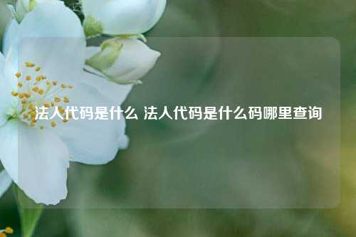 法人代码是什么 法人代码是什么码哪里查询