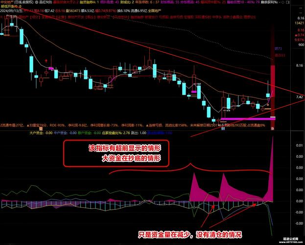 股票资金监控软件_股票软件资金流向指标公式_监控股票软件资金流向