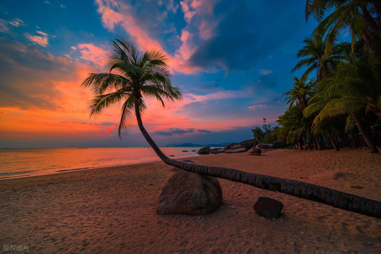 海南自贸港全岛封关运作_上海自由贸易港龙头股_中国中免免税龙头