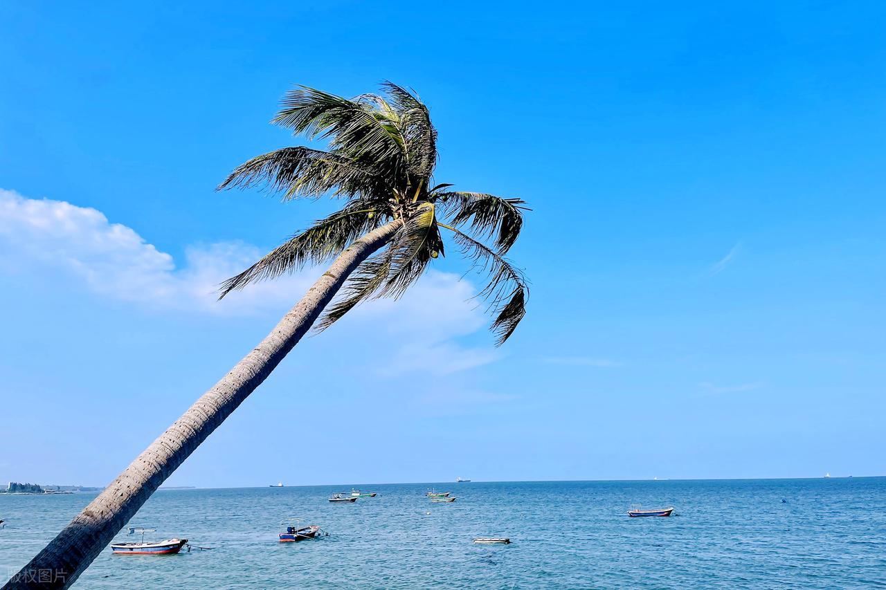 海南自贸港全岛封关运作_中国中免免税龙头_上海自由贸易港龙头股