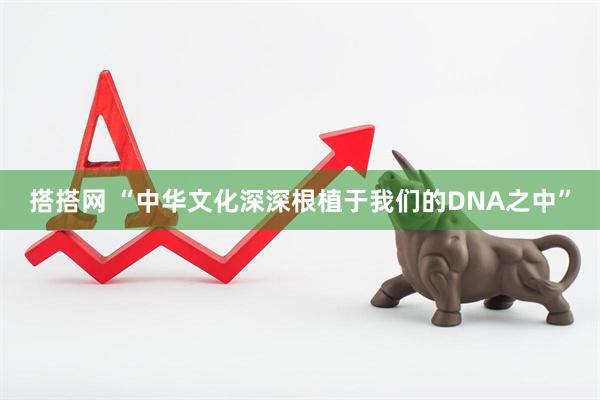 搭搭网 “中华文化深深根植于我们的DNA之中”