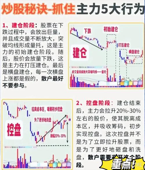 量价配合交易策略_股票涨升原因分析_跌破止损点