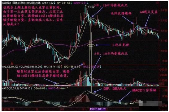 一阳穿五线选股_三金叉买入_后金叉买入庄股