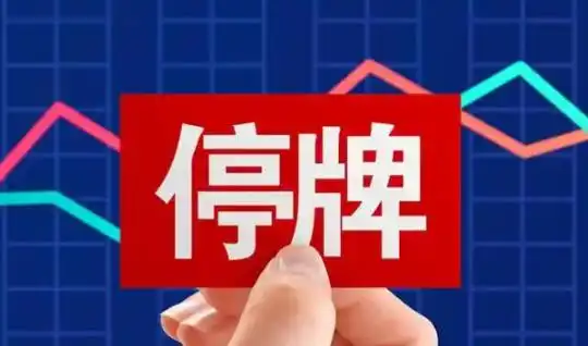 A股停牌规则_哪只股票停牌了_天普股份停牌原因