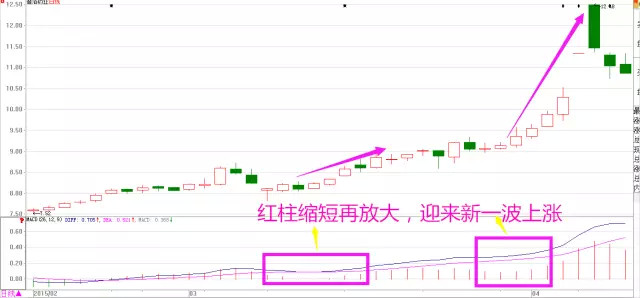macd选股技巧_MACD金叉死叉详解_MACD指标详解