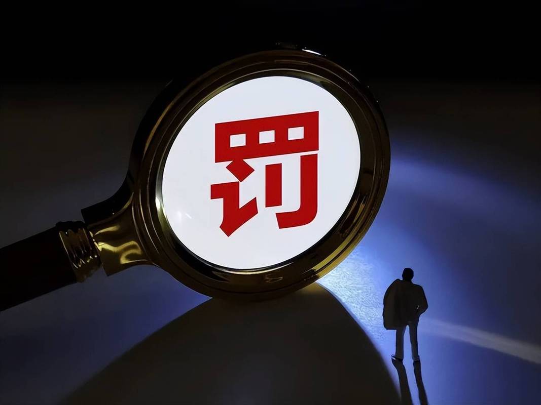 12月复牌的股票_上市公司处罚密集披露_误导性陈述处罚案例