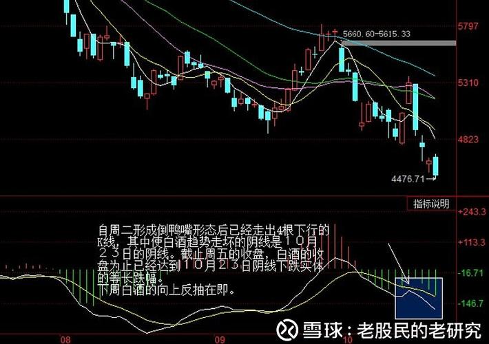 保险股反弹在即，如何选超跌个股？
