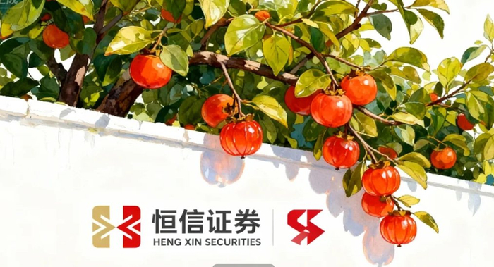 2026年A股市场股票配资平台制度稳健性评估_正规股票配资公司风险控制能力观察_什么股票配资软件正规