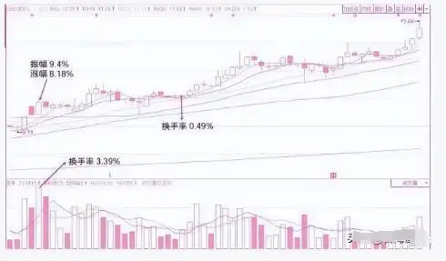 股票市场生存复利策略_换手率大于2选股_投资成功关键要素