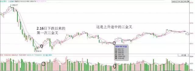 三金叉缺点_均线均量线MACD金叉_三金叉共振战法