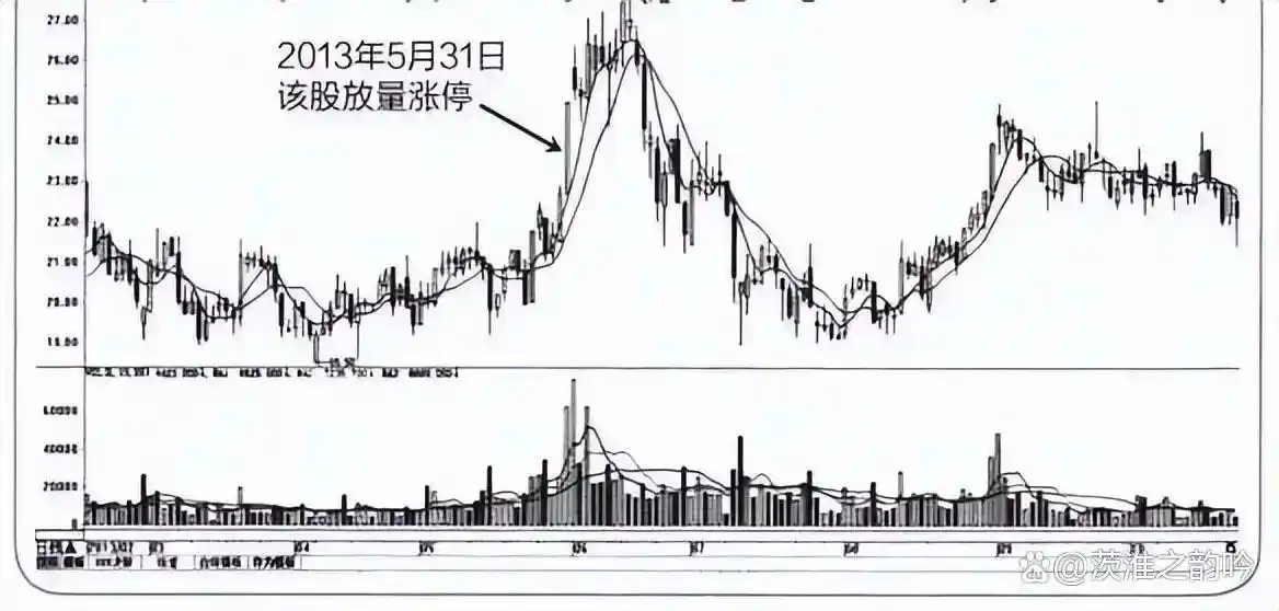 换手率大于2选股_散户投资错误_灵活运用规律