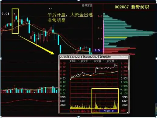 掌握主力资金进出特征，了解股票上涨下跌原理，避免当接盘侠