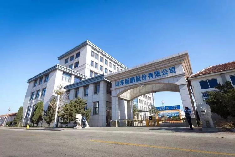 002374丽鹏股份：董事辞职及补选董事的相关公告详情