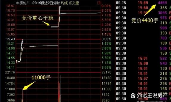 央企券商理财经理投资建议_100元投资股票收益上限_炒股1000块钱最多可以变成多少钱