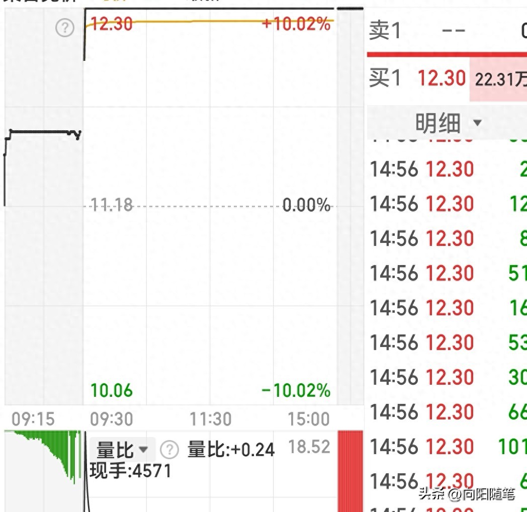 竞价涨停什么意思_集合竞价涨停捕捉法_高开幅度成交量买卖挂单价格走势